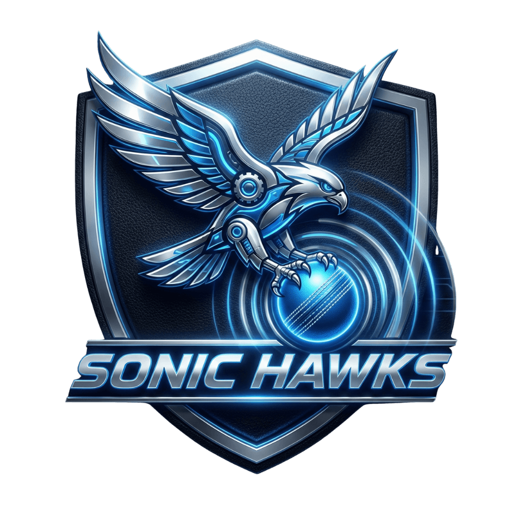 Sonic Hawks